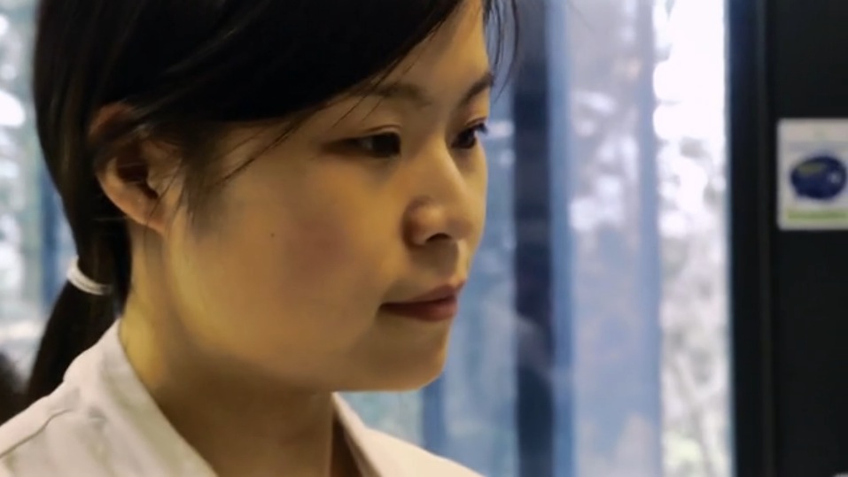 Dana Tsui